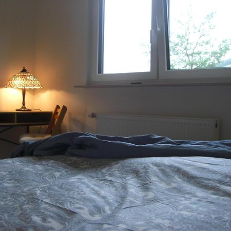 Ferienwohnung Alter Weinberg ザールブルク エクステリア 写真