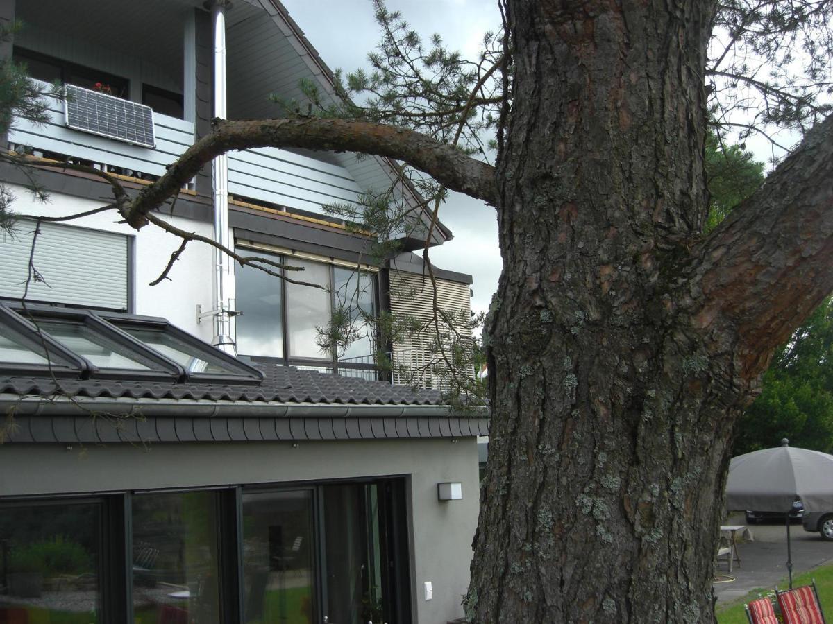 Ferienwohnung Alter Weinberg ザールブルク エクステリア 写真