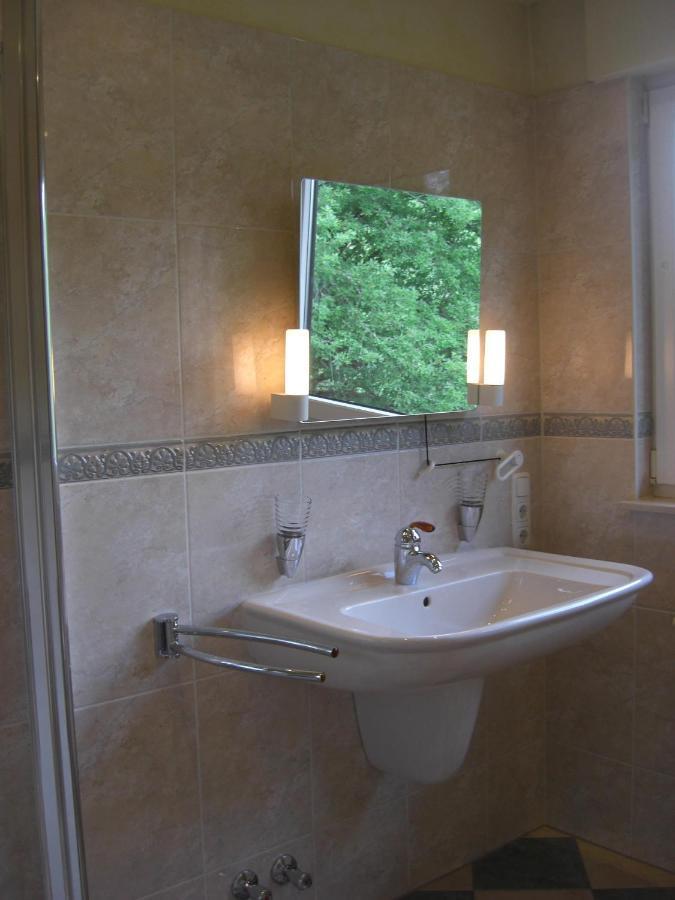 Ferienwohnung Alter Weinberg ザールブルク エクステリア 写真
