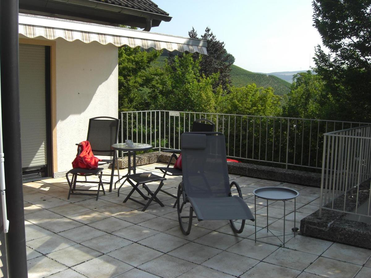 Ferienwohnung Alter Weinberg ザールブルク エクステリア 写真